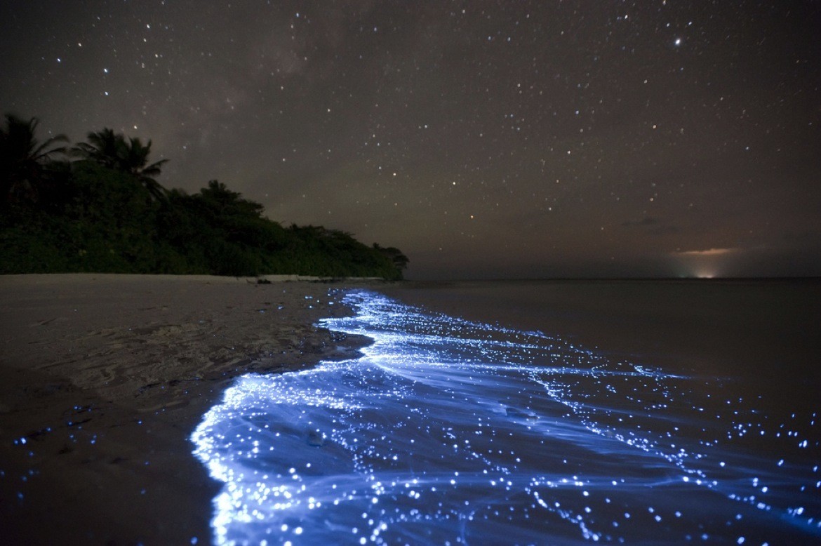 Sea of Stars on Vaadhoo Island